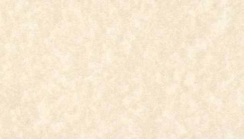 Parchment paper 90gsm cream - paper,